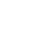 Патріотичні